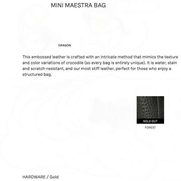 Senreve Mini Maestra in / Dragon / Forest / Gold - Picture 8 of 14